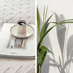 Sanders City - Popular One-Bedroom Apartment In The Lovely Capital